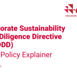 CSDDD e CDP Policy Explainer: guida completa per la Due Diligence aziendale